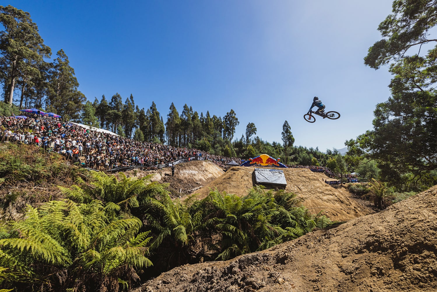 Red bull hardline course 2025
