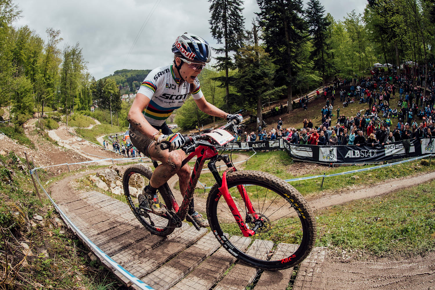 Red bull xco 2019 new arrivals