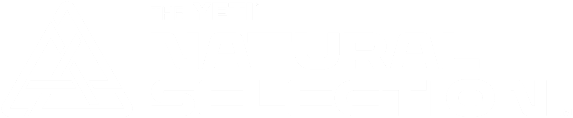 Natural Selection Tour 2022 Logo