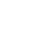 Salomon logo in white on a transparent background