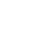 Backforce - Logo white