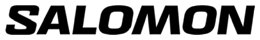 Salomon Partner