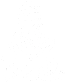 rallydakar_squarelogo_shadow.png