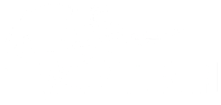 wings for life world run logo - mono neg