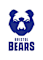 Bristol Bears logo