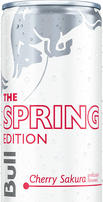 Spring Edition 2026 Cherry Sakura