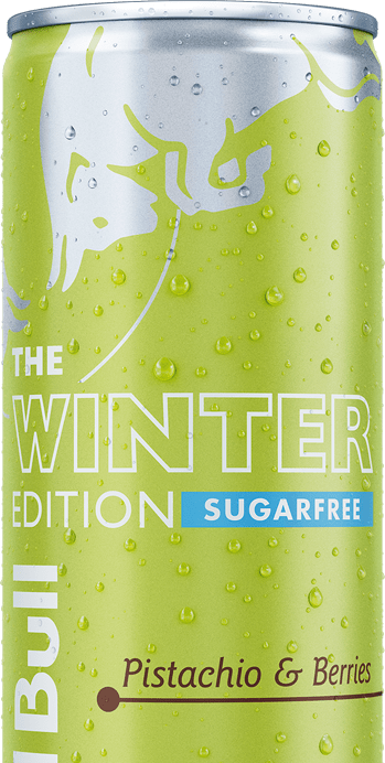 Red Bull Winter Edition Sugarfree
