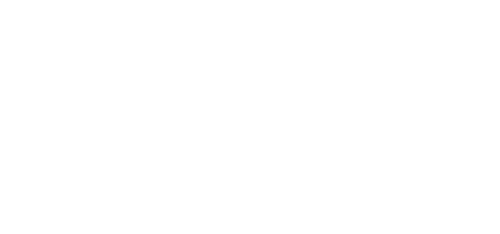 Wings for life logo - transparent