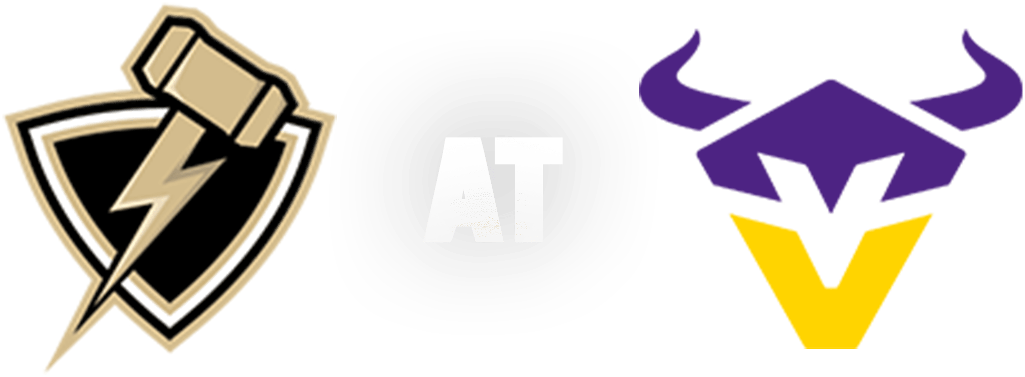 Vienna Vikings vs Berlin Thunder - logo