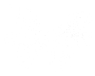Logo officiel de Chrysalis, le film de surf avec Izzi Gomez.