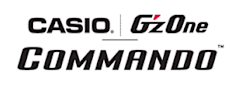 Casio Logo