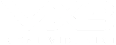 VX3 LOGO