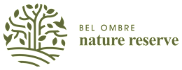 Bel Ombre 