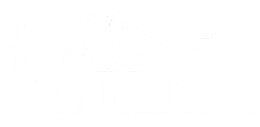 Wings for Life World Run (logo)