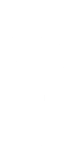 Swatch Nines logo 2026