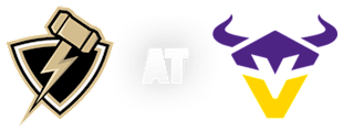 Vienna Vikings vs Berlin Thunder - logo
