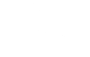 Tokyo Game Show 2026 White Logo