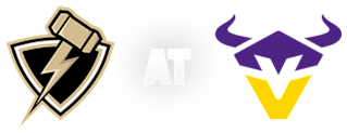 Vienna Vikings vs Berlin Thunder - logo