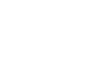 Tokyo Game Show 2026 White Logo
