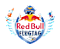 Red Bull Flugtag