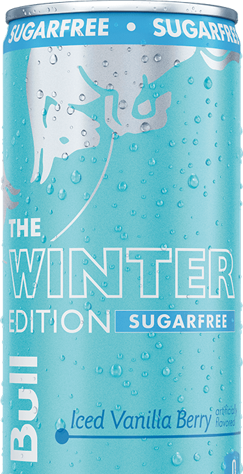 Red Bull Winter Edition Sugarfree