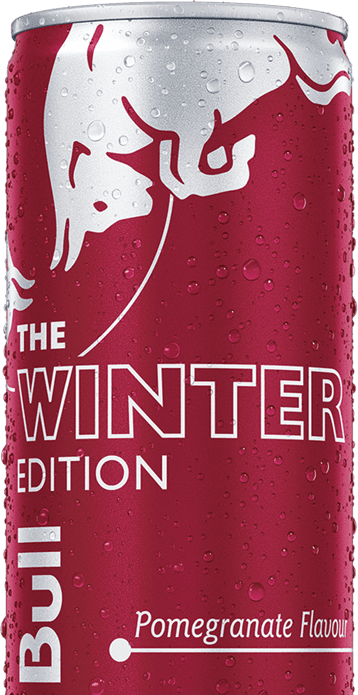 Red bull Winter Edition - image