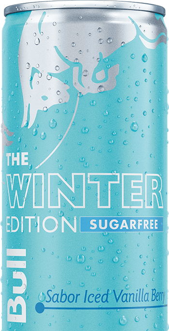 Red Bull Winter Edition Sugarfree