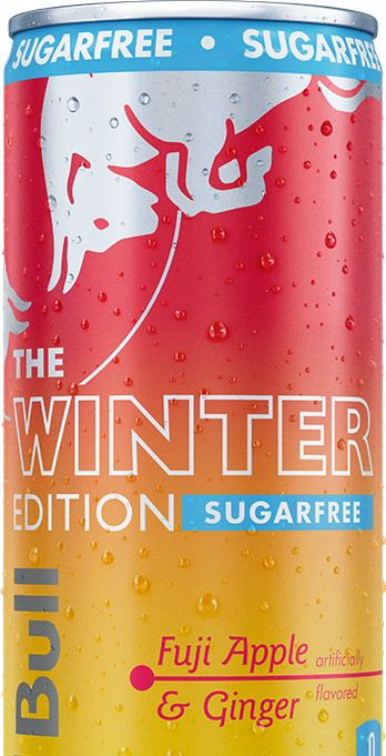 Red Bull Winter Edition Sugarfree