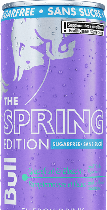 Red Bull Spring Edition Sugarfree Image