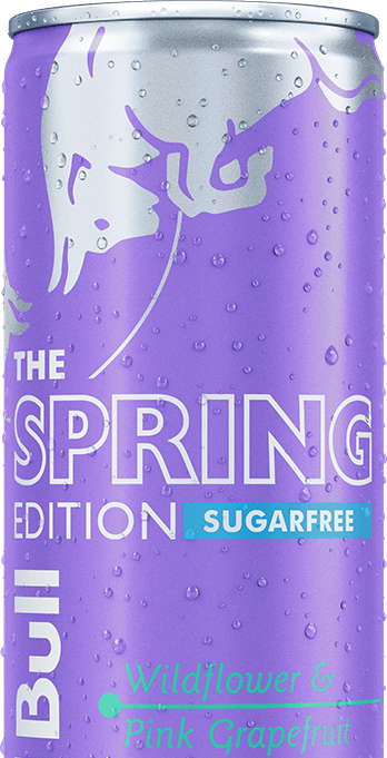 Red Bull Spring Edition Sugarfree Image