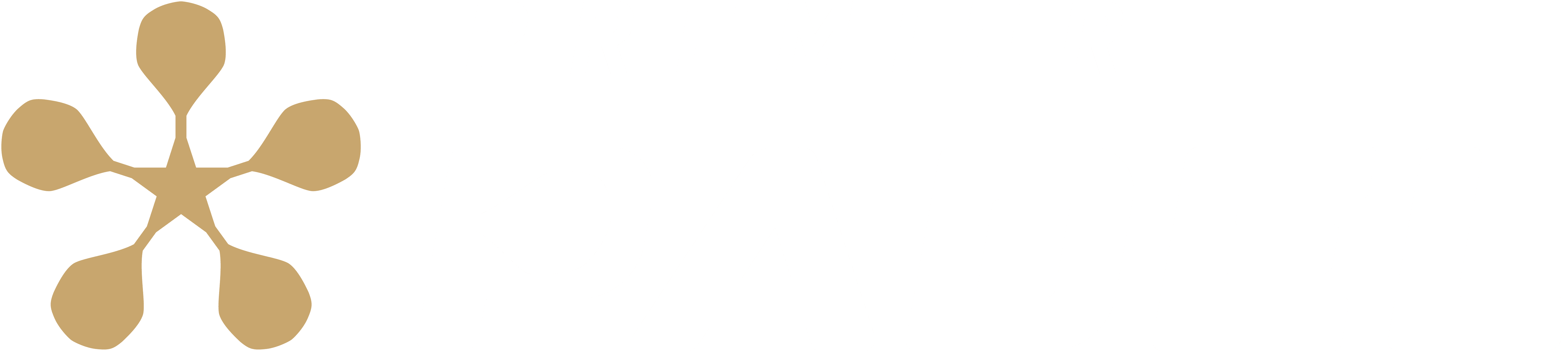 Premier Padel - logo