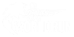 wings for life world run logo