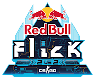 Red Bull 2v2 CS:GO tournament overview