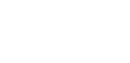 Wings for life logo - transparent