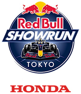 Red Bull Racing Official Teamline: Red Bull Replica Teamkit