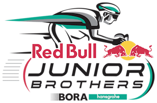 Red Bull Junior Brothers - Logo