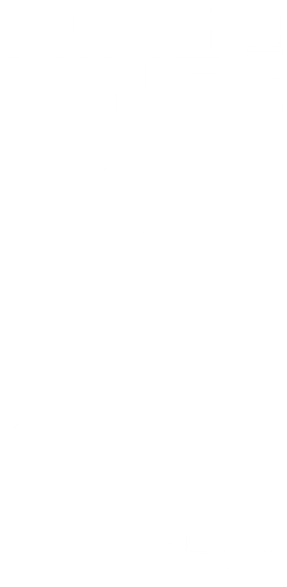 The Nines Logo 2025