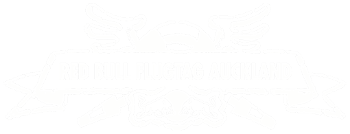 Red Bull Flugtag Auckland 2022