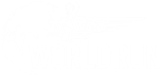 World Run Logo