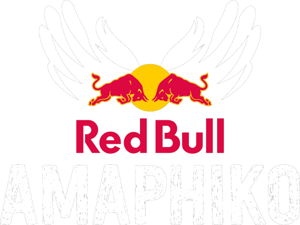 Red Bull Amaphiko Campus Storyteller
