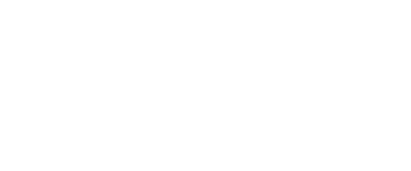 artofflight_logo