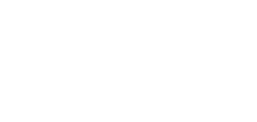 Wings for life logo - transparent