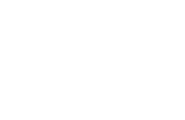 MTB Festival Brazil Logo