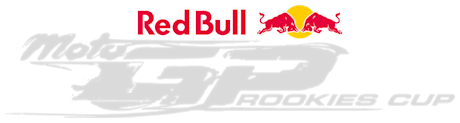 Red Bull Rookies Logo Negative