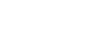 What Gravity Challenge - LOGO