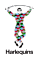 Harlequins logo