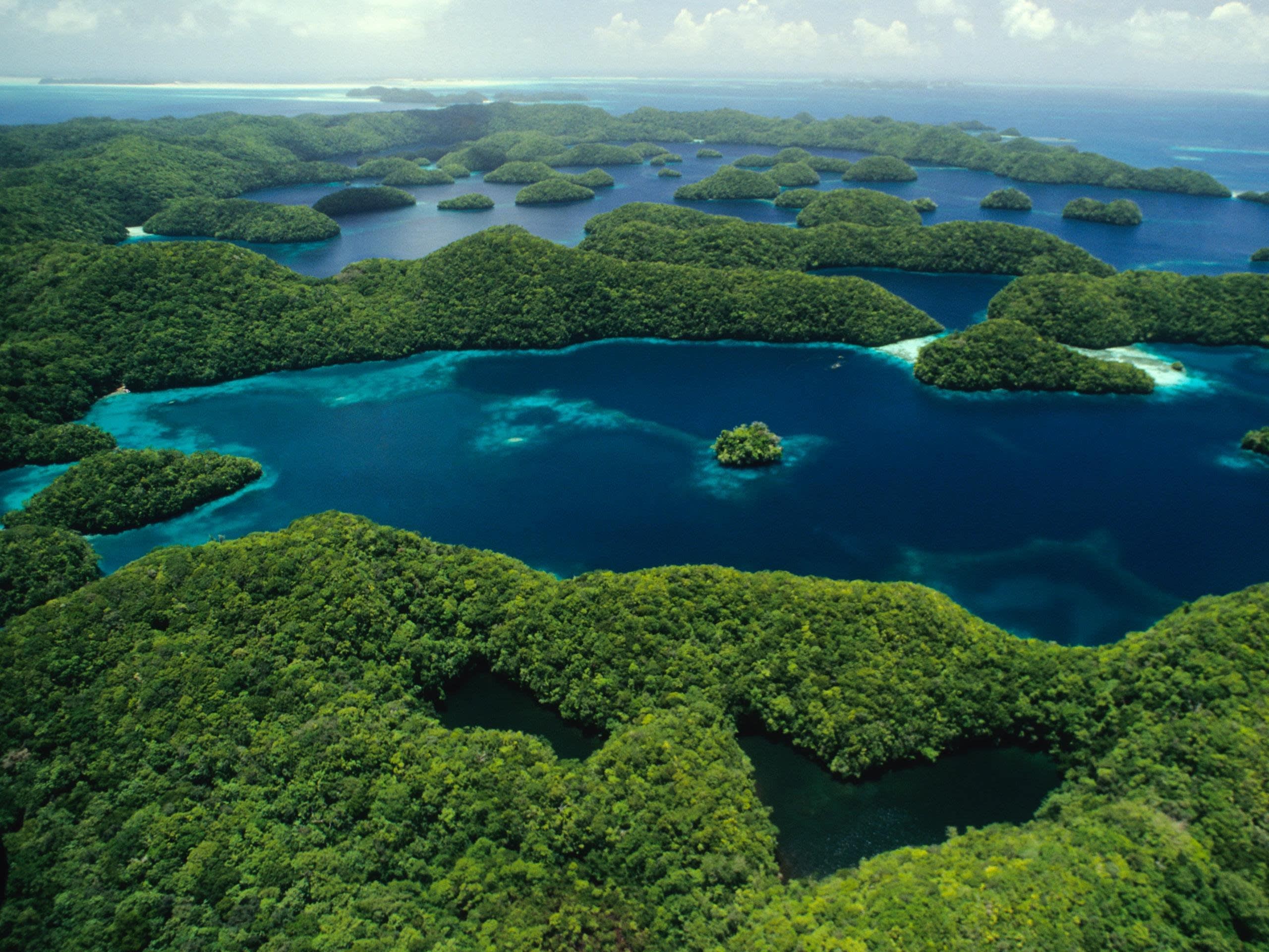 Jellyfish lake | Palau | Photos | Red Bull Adventure