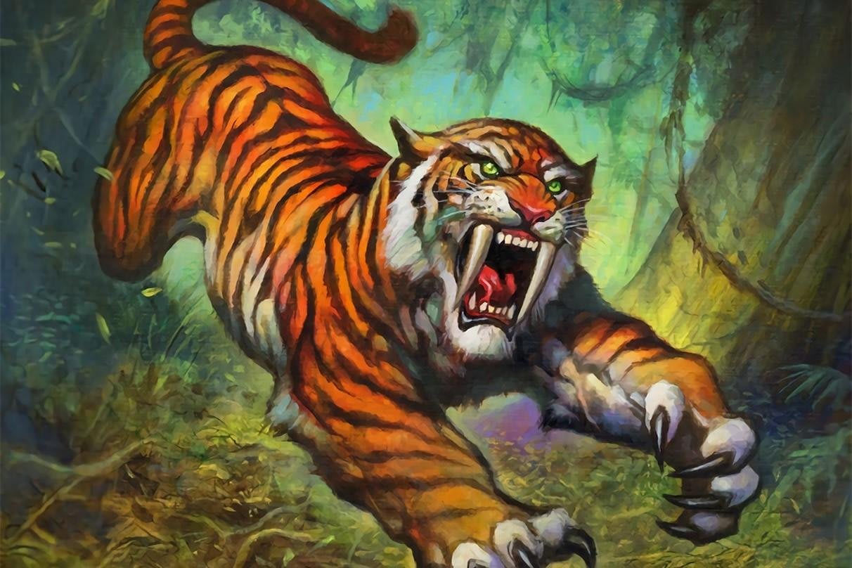 Safarri Tiger