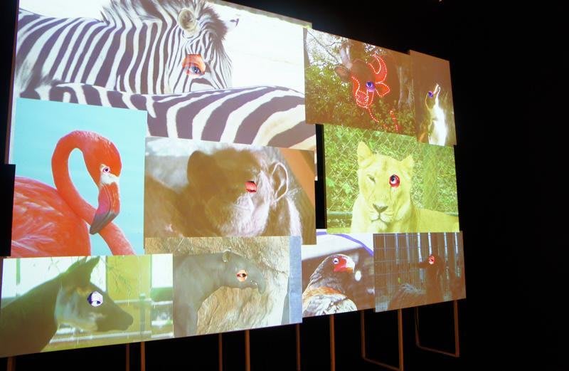 六本木クロッシング2013展 : アウト・オブ・ダウト – 来たるべき