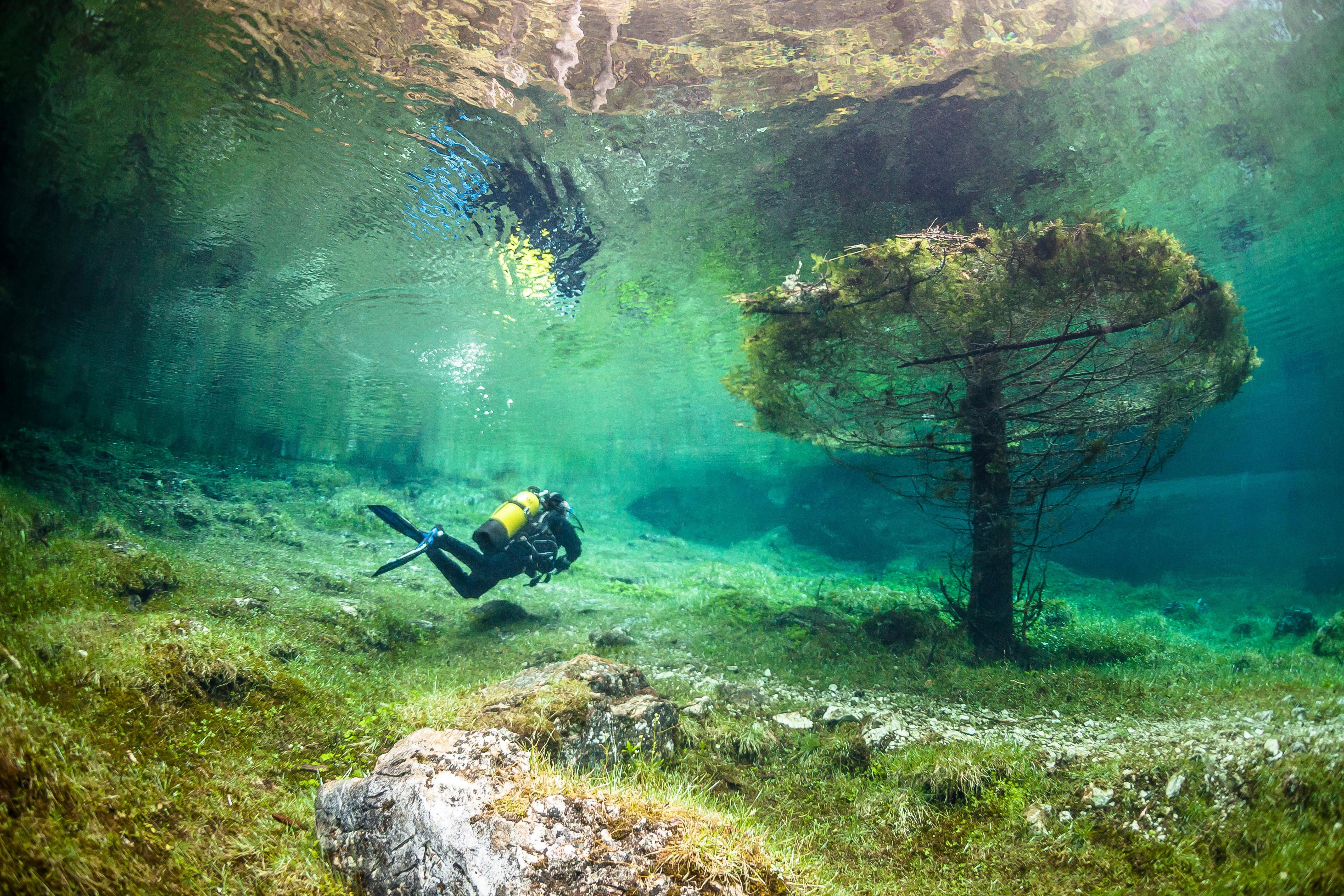 Растущая на дне озера. Зеленое озеро Грюнер Зее. Озеро Грюнер Австрия. Парк Грюнер Зее Австрия. Подводный парк "зеленое озеро"..